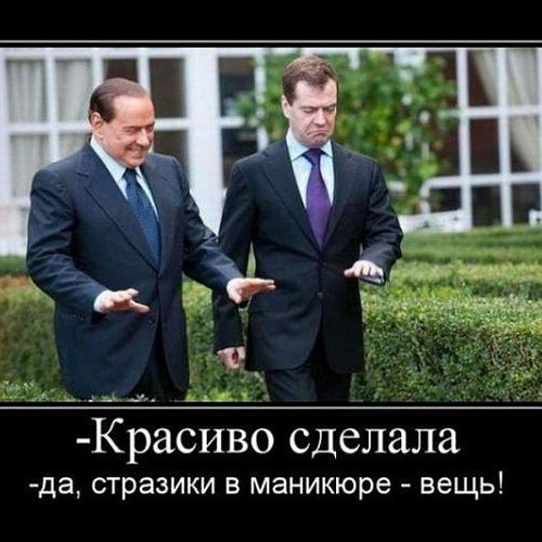 Медведев Прикольные Фото