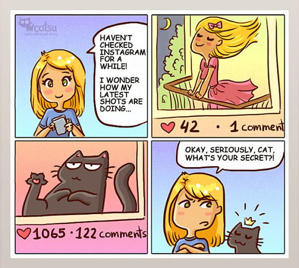 Секрет, почему коты так популярны в соцсетях | #прикол