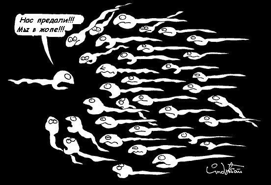изображение: Самый быстрый сперматозоид говорит остальным: 'Нас предали! Мы в жопе!' #Прикол