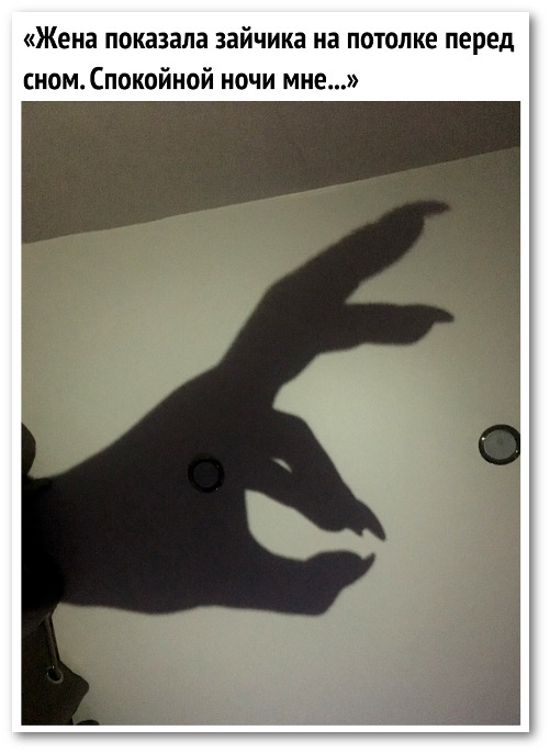 изображение: Жена показала зайчика на потолке перед сном. Спокойной ночи мне. #Прикол
