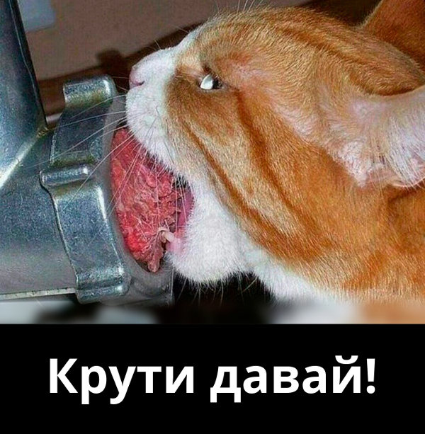 изображение: Кот есть мясо с мясорубки. - Крути давай! #Котоматрицы