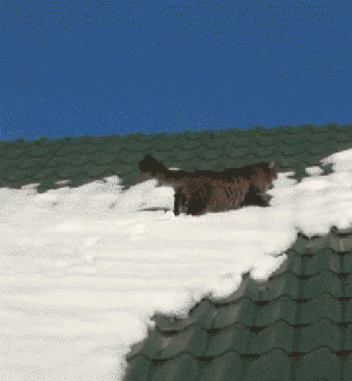 Кот падает с крыши вместе со снегом.
